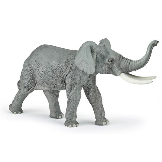 Elefante