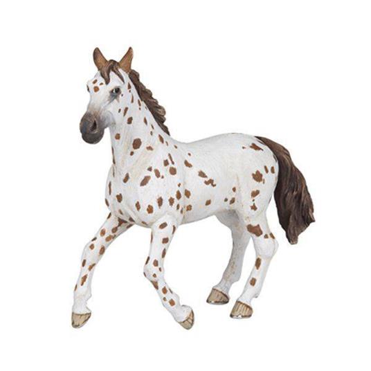 Cavallo marrone appaloosa