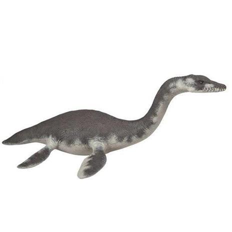 Plesiosaurus - 3