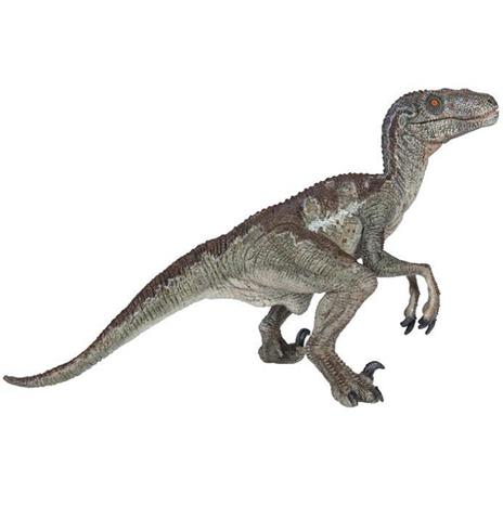 Velociraptor - 3