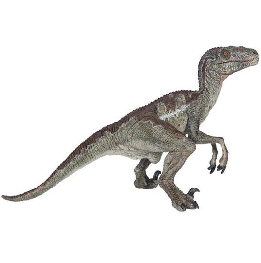 Velociraptor