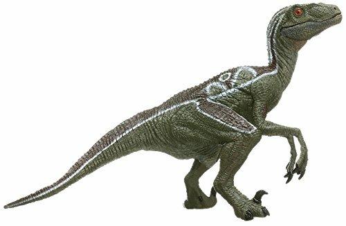 Velociraptor - 5