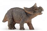 Baby triceratops