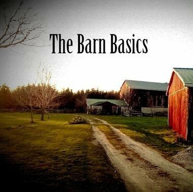 Barn Basics - CD Audio di Ad Vanderveen