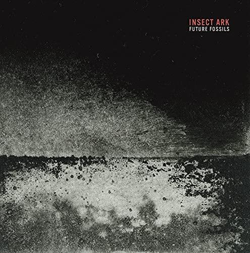 Future Fossils - CD Audio di Insect Ark