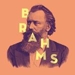 Les Chefs D'Oevres De - The Masterpieces Of Johannes Brahms