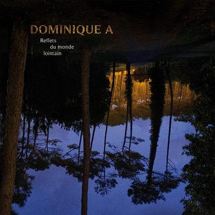 Reflets Du Monde Lointain - Vinile LP di Dominique A