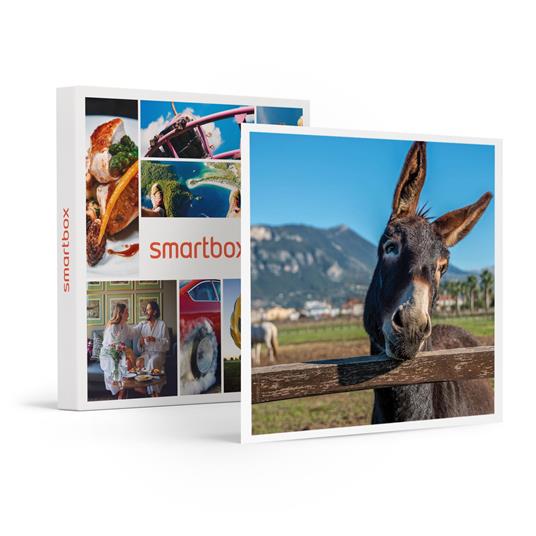 SMARTBOX - Romantica pausa in agriturismo in compagnia degli animali - Cofanetto regalo