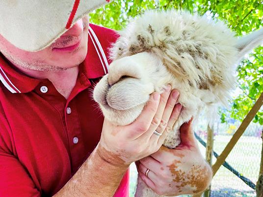 SMARTBOX - Picnic in famiglia con gli alpaca: visita e souvenir per 2 adulti e 2 bambini - Cofanetto regalo - 4