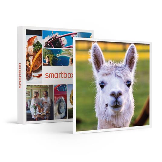 SMARTBOX - Passeggiata con gli alpaca in famiglia: visita all'allevamento  per 2 adulti e 1 bambino - Cofanetto regalo - Smartbox - Idee regalo | IBS