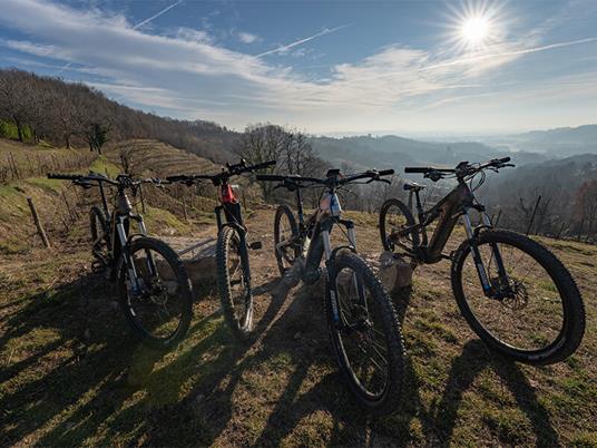 SMARTBOX - Tour in e-bike tra i vigneti di Montevecchia e degustazione di 4 calici di vino per 1 - Cofanetto regalo - 2