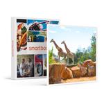 SMARTBOX - 2 biglietti d’ingresso a Zoom Torino con accesso prioritario e colazione con le giraffe - Cofanetto regalo