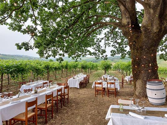 SMARTBOX - Cena romantica nel vigneto con tour guidato della cantina e delle vigne in Lombardia - Cofanetto regalo - 2