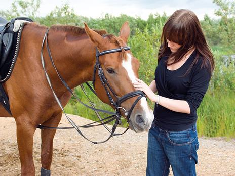 SMARTBOX - Passeggiata a cavallo - Cofanetto regalo - 8