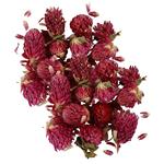 Fiori secchi - Trifoglio rosso 30 g