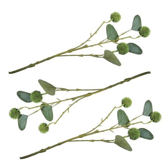 3 rami di eucalipto con frutti 40 cm