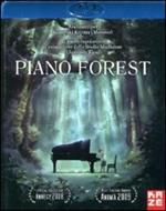 Piano Forest