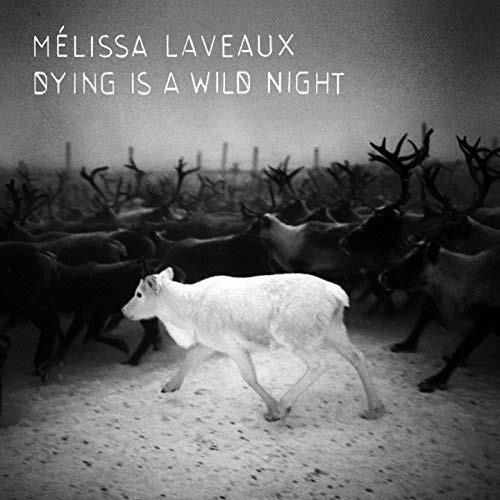 Dying Is a Wild Night - CD Audio di Melissa Laveaux