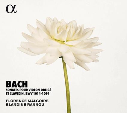 Sonate per violino obbligato e clavicembalo BWV1014-1019 - CD Audio di Johann Sebastian Bach,Blandine Rannou,Florence Malgoire