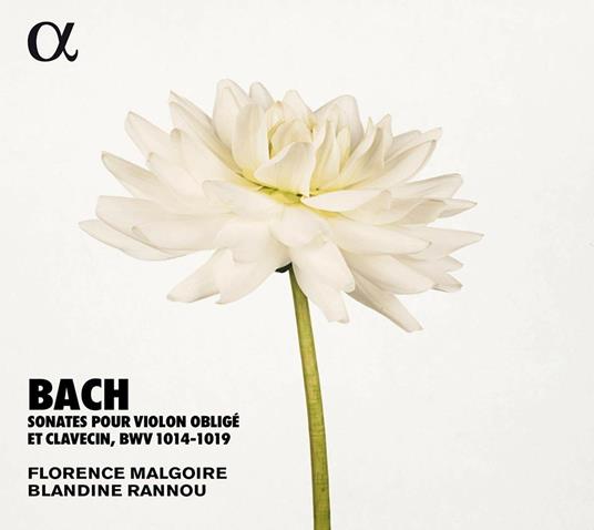 Sonate per violino obbligato e clavicembalo BWV1014-1019 - CD Audio di Johann Sebastian Bach,Blandine Rannou,Florence Malgoire