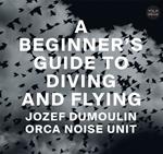 A Beginner's Guide To Diving And Flying