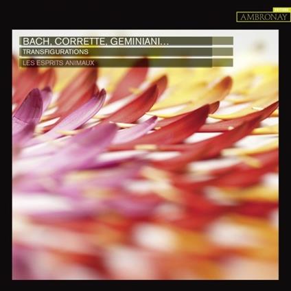 Transfigurations - CD Audio di Johann Sebastian Bach,Francesco Geminiani,Michel Corrette