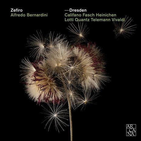 Dresden - CD Audio di Ensemble Zefiro,Alfredo Bernardini