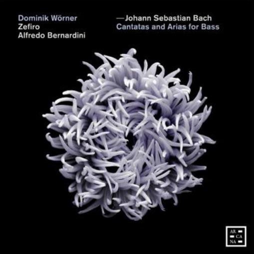 Cantate e arie per basso - CD Audio di Johann Sebastian Bach,Ensemble Zefiro,Alfredo Bernardini,Dominik Wörner