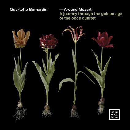 Around Mozart - CD Audio di Quartetto Bernardini