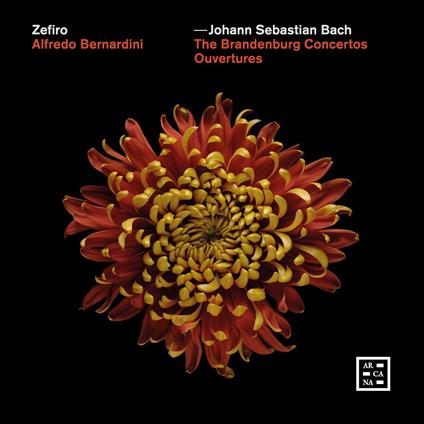 The Brandenburg Concertos - CD Audio di Johann Sebastian Bach,Alfredo Bernardini,Zefiro Baroque Orchestra