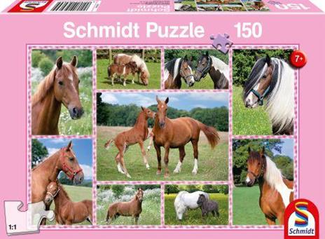 Schmidt Spiele 4056269 Puzzle Animali - 2