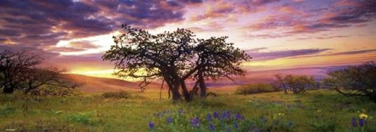 Puzzle 2000 pz Panorama - Oak Tree, AvH - 3