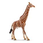 Giraffa Maschio Schleich (14749)