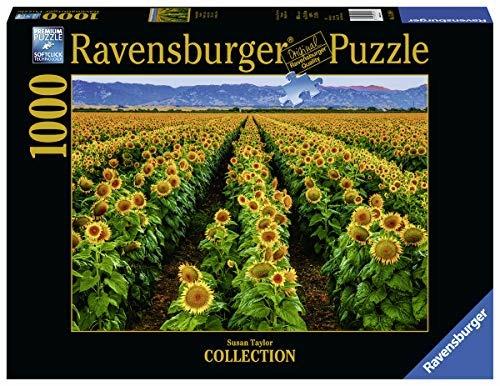 Puzzle 1000 pz. Foto & Paesaggi. Campo di girasoli - Ravensburger - Puzzle  da 1000 a 3000 pezzi - Giocattoli | IBS