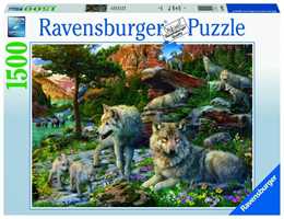 Spezie Sul Tavolo. Puzzle da 1000 Pezzi - Ravensburger - 1000 pezzi Fantasy  - Puzzle da 1000 a 3000 pezzi - Giocattoli