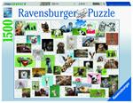 Ravensburger - Puzzle Collage di animali divertenti, 1500 Pezzi, Puzzle Adulti