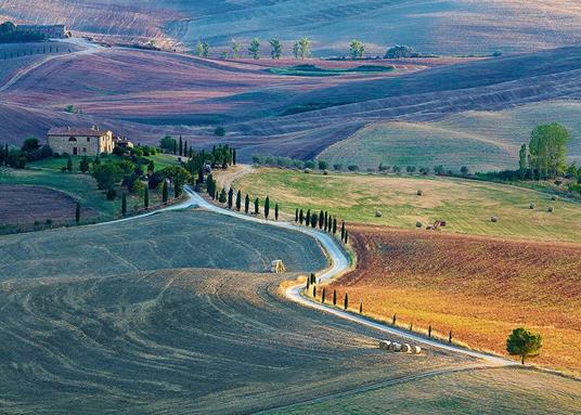 Puzzle Ravensburger Talent collecition: Podere Terrapille. Pienza. Siena. Toscana 1000 pezzi - Ravensburger - Puzzle 1000 pz - Foto & Paesaggi -  Puzzle da 300 a 1000 pezzi - Giocattoli | IBS