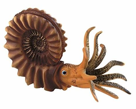 Preistorici. Ammonite