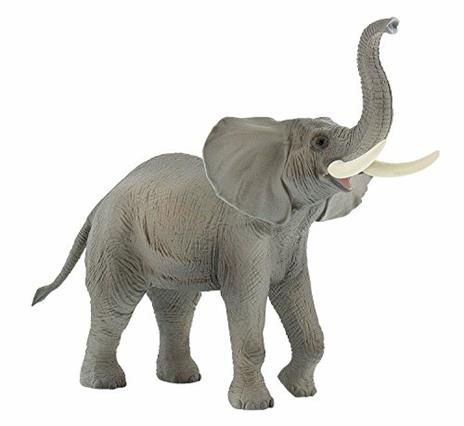 Selvaggi. African Elephant