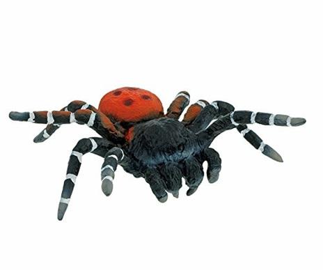 Velvet Spider