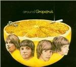 Around Grapefruit - CD Audio di Grapefruit