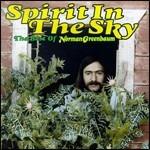 Spirit in the Sky. The Best of Norman Greenbaum - CD Audio di Norman Greenbaum