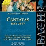 Cantate BWV35, BWV36, BWV37 - CD Audio di Johann Sebastian Bach,Bach Ensemble,Helmuth Rilling