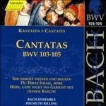 Cantate BWV103, BWV104, BWV105 - CD Audio di Johann Sebastian Bach,Bach Ensemble,Helmuth Rilling