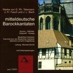 Baroque Cantatas Central - CD Audio di Johann Friedrich Fasch