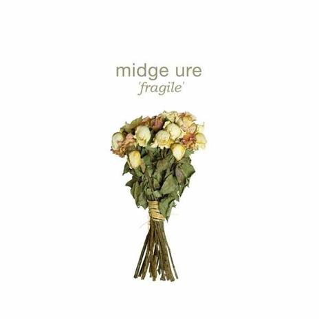Fragile - CD Audio di Midge Ure