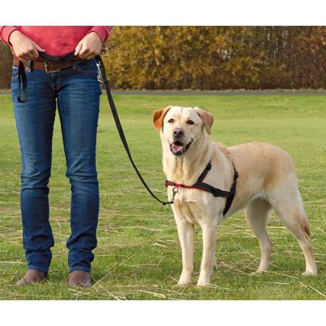 TRIXIE Pettorina Lead'n'Walk Soft Taglia L-XL 65-105 cm Nera 13057 - 2