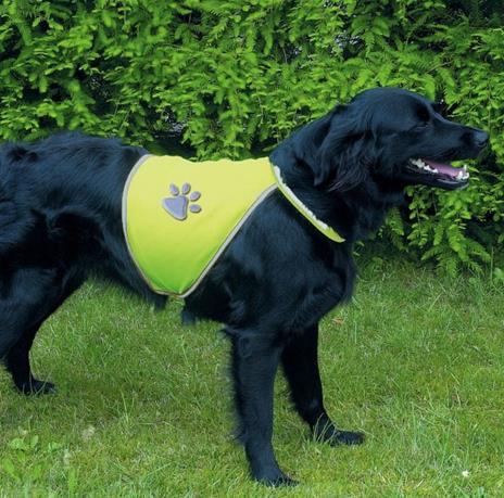 TRIXIE 30084 pettorina di sicurezza per cani XL Poliestere Giallo - 2