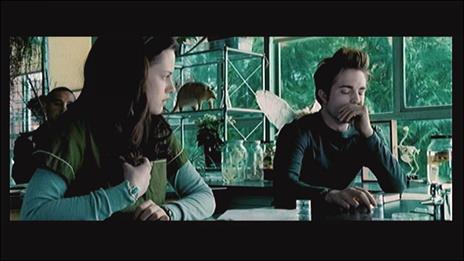 Scene It? Twilight - 9