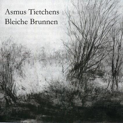 Bleiche Brunnen - CD Audio di Asmus Tietchens